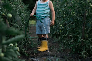 we-compost-gumboots.jpeg